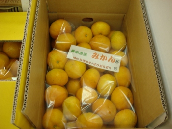 Ă X
